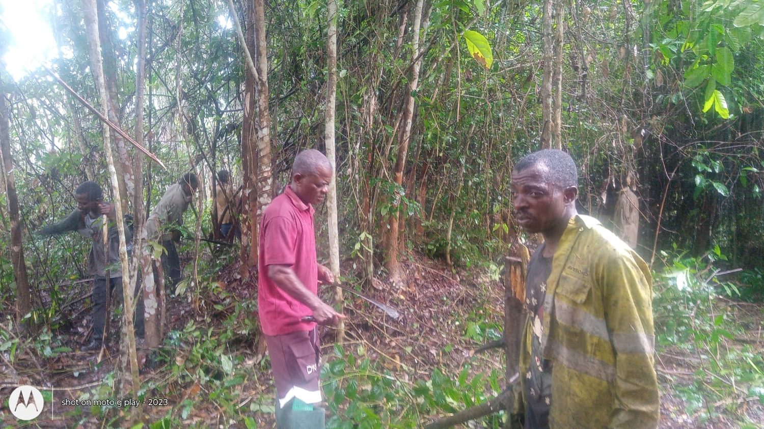 CrestaSeed farmland preparation in 2026: vegetation clearing and land preparation