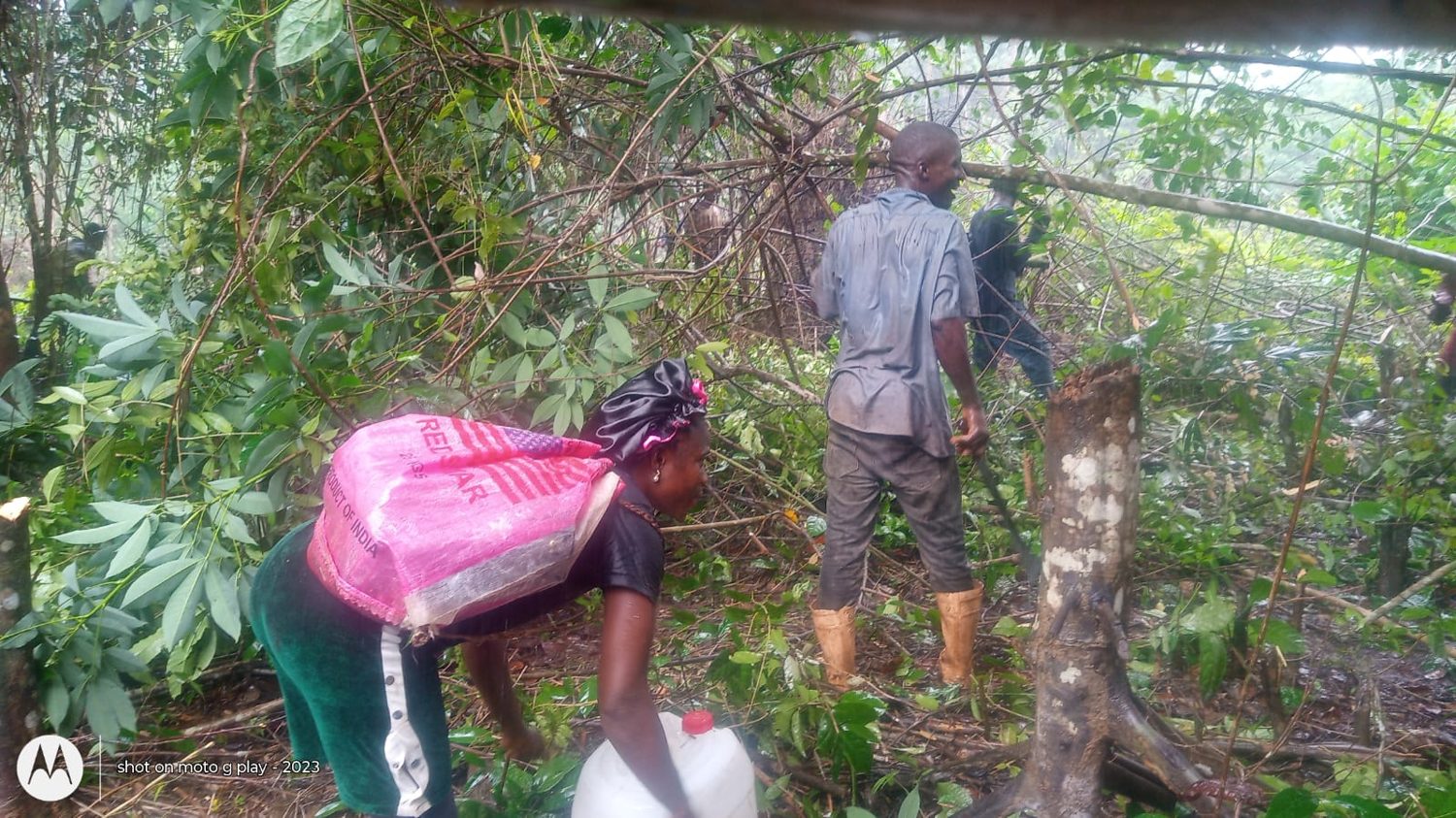 CrestaSeed farmland preparation in 2026: workers clearing dense vegetation